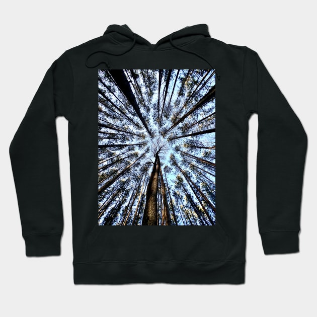 Looking up (Trees) Hoodie by ShootFirstNYC